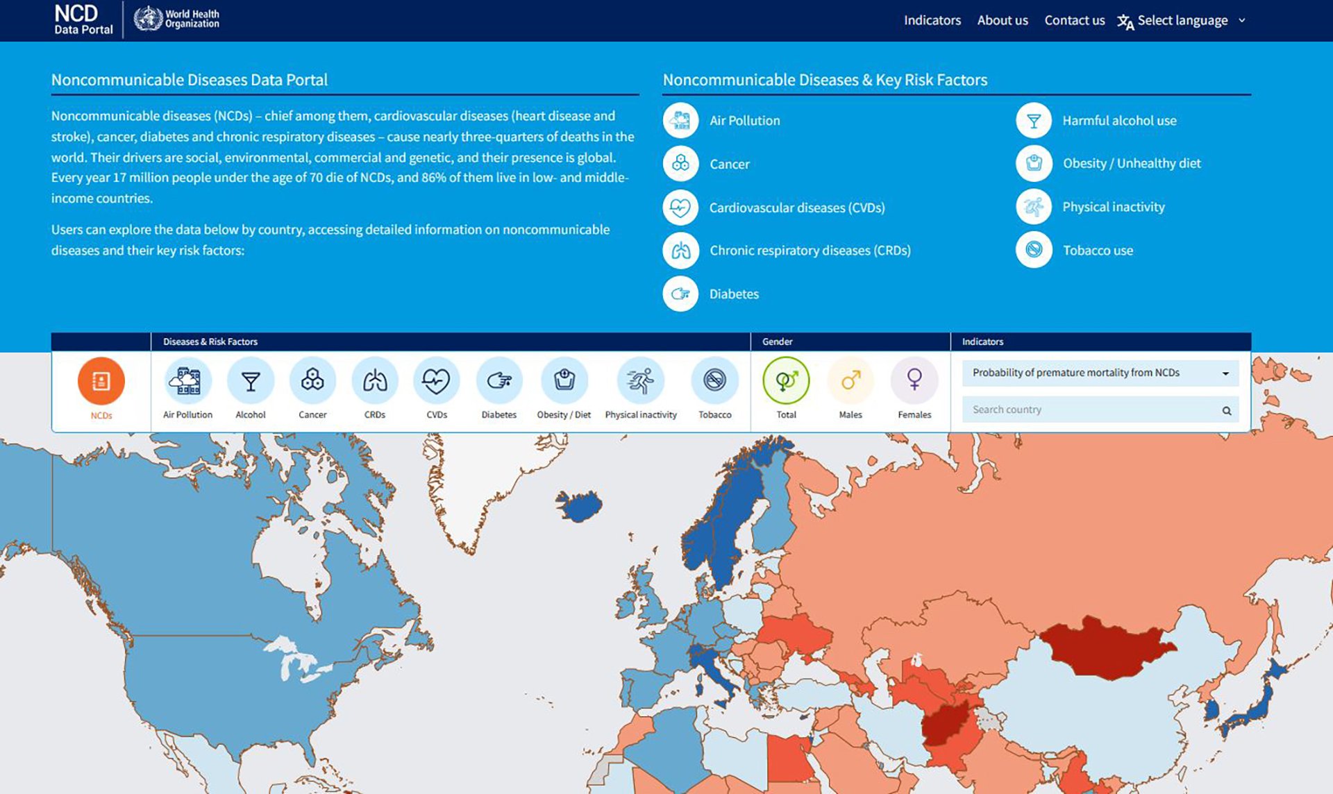 decorative thumbnail