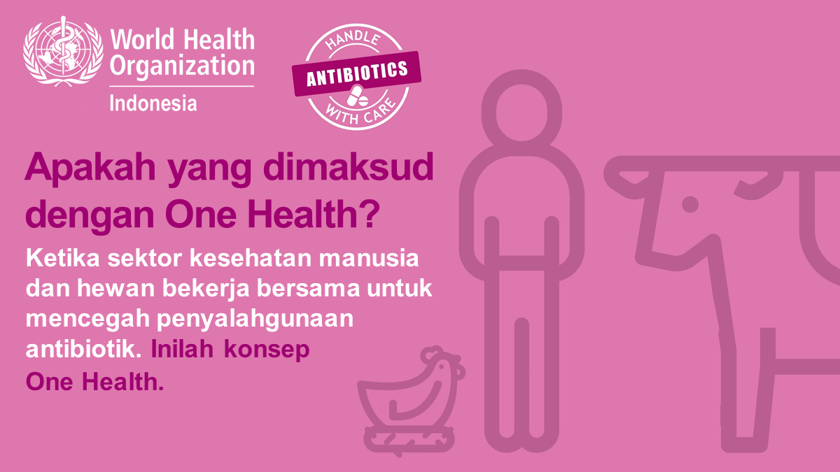 One Health 2 - BI